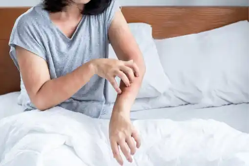 شركة ابادة حشرات في مدينتي: 8 أنواع حشرات تهدد صحتك وكيفية القضاء عليها